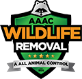 Janesville Wildlife Removal